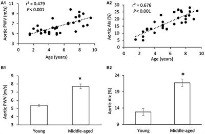 Increased Serum Klotho With Age-Related Aortic Stiffness and Peripheral Vascular Resistance in Young and Middle-Aged Swine